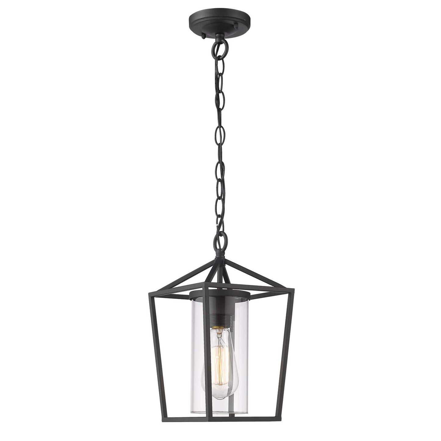 Emliviar Modern Outdoor Pendant Light, 1-Light Outdoor Hanging Lantern Light in Black Finish with Clear Glass, 20065H BK