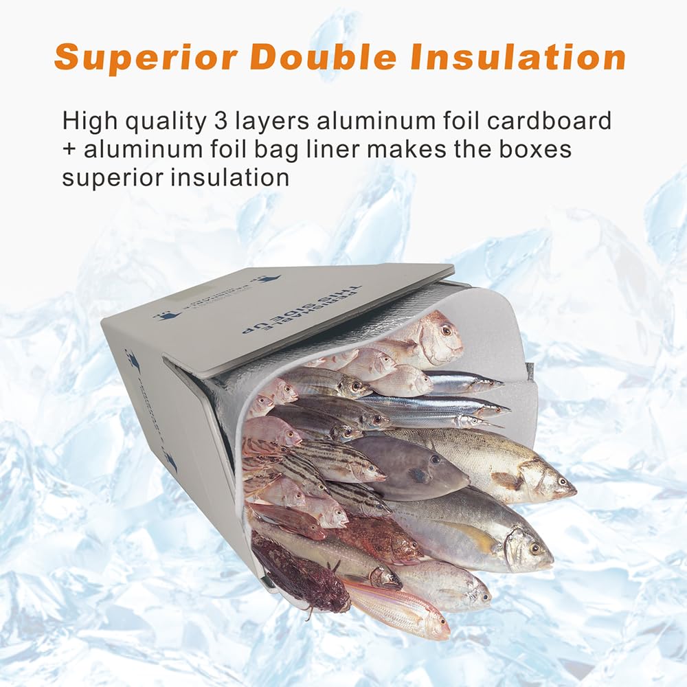 CH-BOX Thermo Chill Double Insulated Carton with Aluminum Foil Foam Bag Liner, 4 Pack 7'' x 6'' x 10'' Small Shipping Box Mailer, Perishable Shipper for Mailing, White (TB7610L-4)