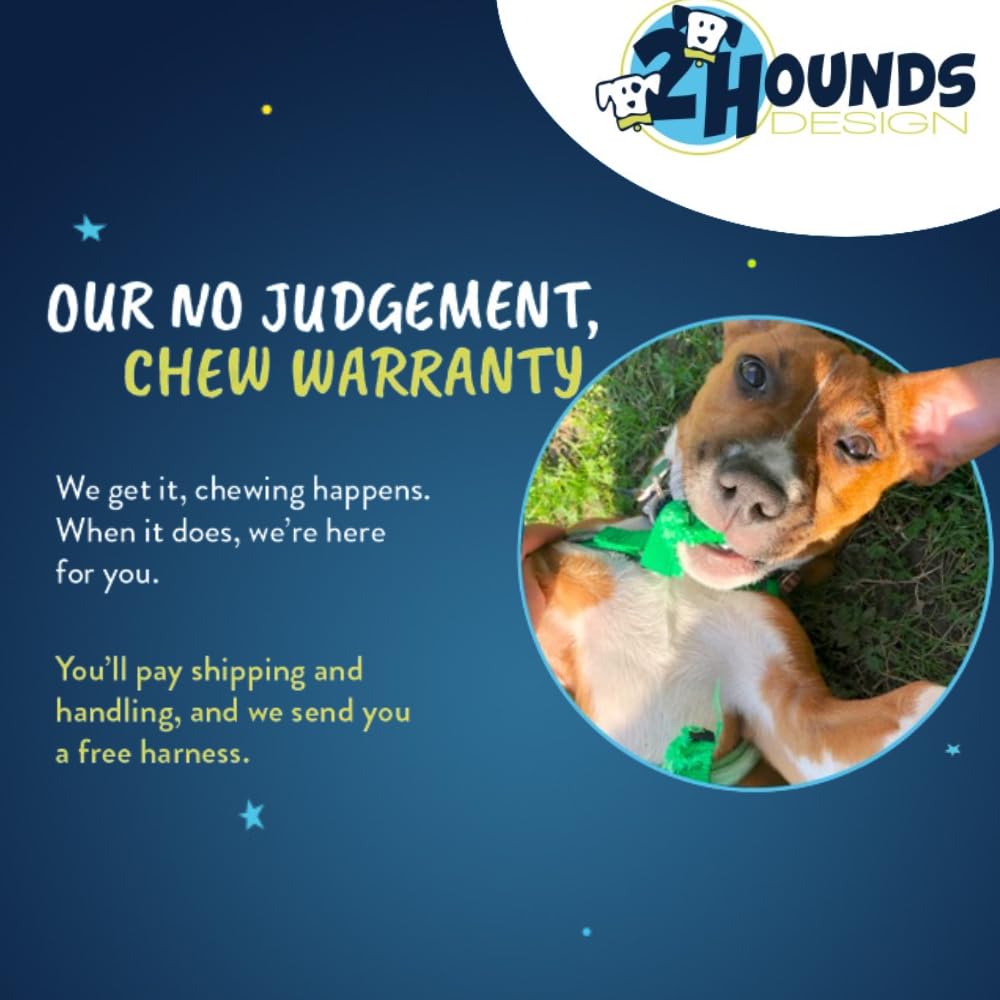 2 Hounds Design Freedom No Pull Dog Harness | Adjustable Gentle Comfortable Control for Easy Dog Walking | for Small Medium and Large Dogs | Made in USA | Leash Not Included | 1" MD Raspberry