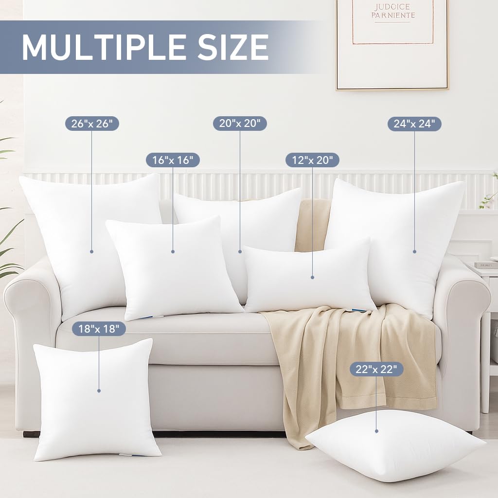 Leeden 20x20 Pillow Inserts Pack of 4, 20 Inch Throw Pillow Inserts, Soft Fluffy Decorative Square Throw Pillows for Couch, Sofa, Bed, and Home Decor White Pillows