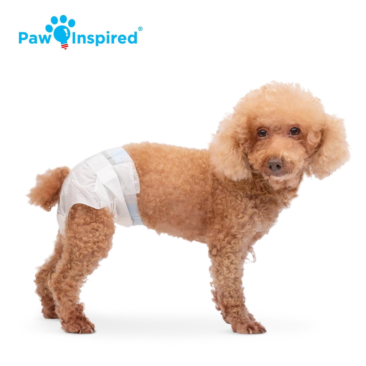 Paw Inspired Disposable Dog Diapers | Female Dog Diapers Ultra Protection | Diapers for Dogs in Heat, Excitable Urination, or Incontinence (Small (32 Count))