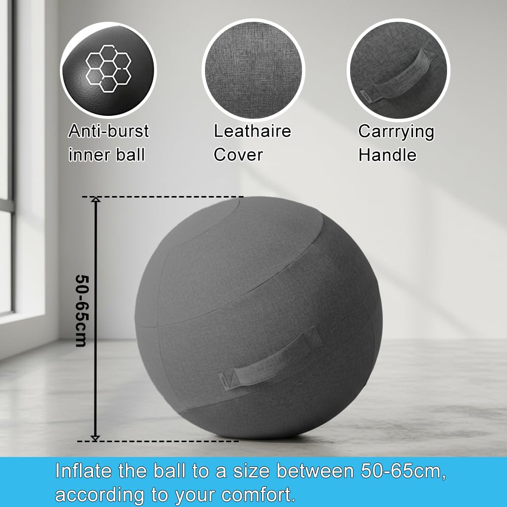 Exercise Ball Chair with Fabric Cover, Standard Size (25inches/65cm), for Home Offices, Balance Training, Yoga Ball (Black)