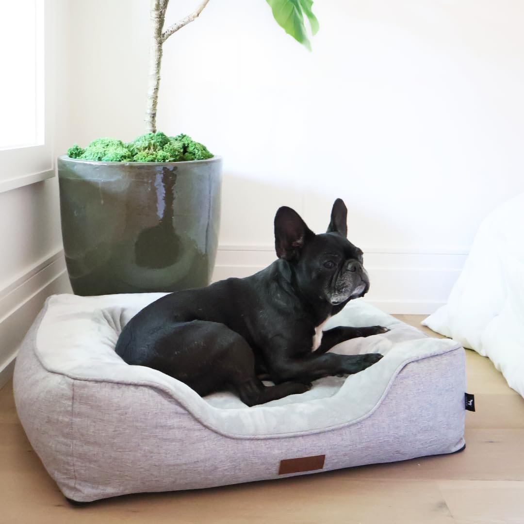 JACKO & CO - Premium Orthopedic Dog Bed with Egg Crate Memory Foam – Waterproof Lining & Removable Machine Washable Cover – Soft Velvet Fabric & High-Density Foam with Non-Slip Base (Grey, Small)
