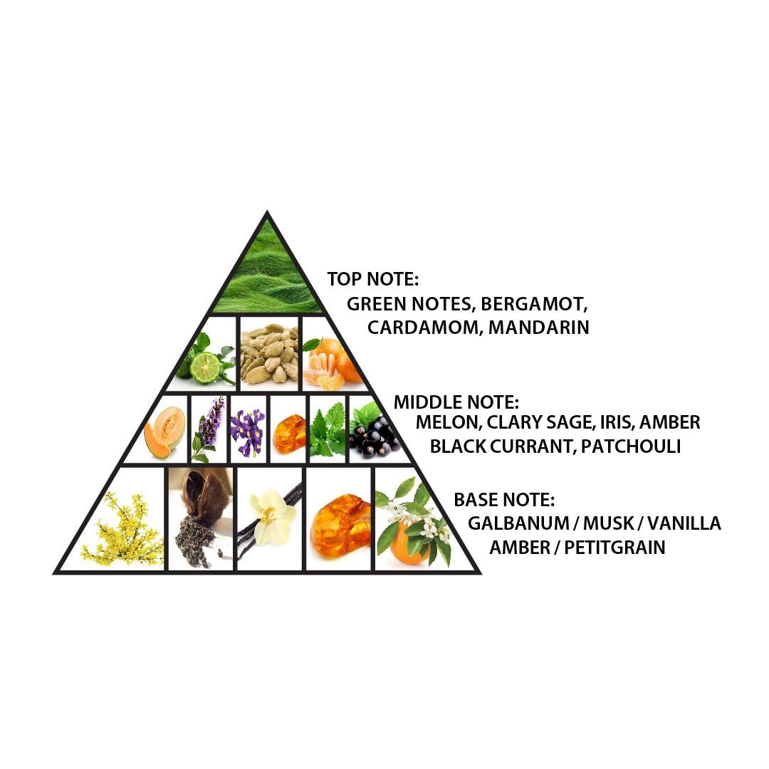 Al Haramain Green Dubai for Unisex - Arabian Perfume for Women and Men - Floral Woody Musk Fragrance - Long Lasting Arabic Perfume - Extrait De Parfum - 3.33 oz EDP Spray