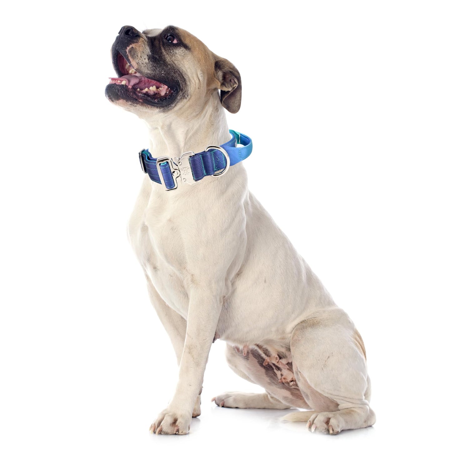 Comfluxe Tactical Dog Collar, Wide Thick Heavy Duty Dog Collar with Handle, Soft Neoprene Padded Military-Grade Nylon Training Collar with Quick Release Metal Buckle for Large Dogs (Blue, M)