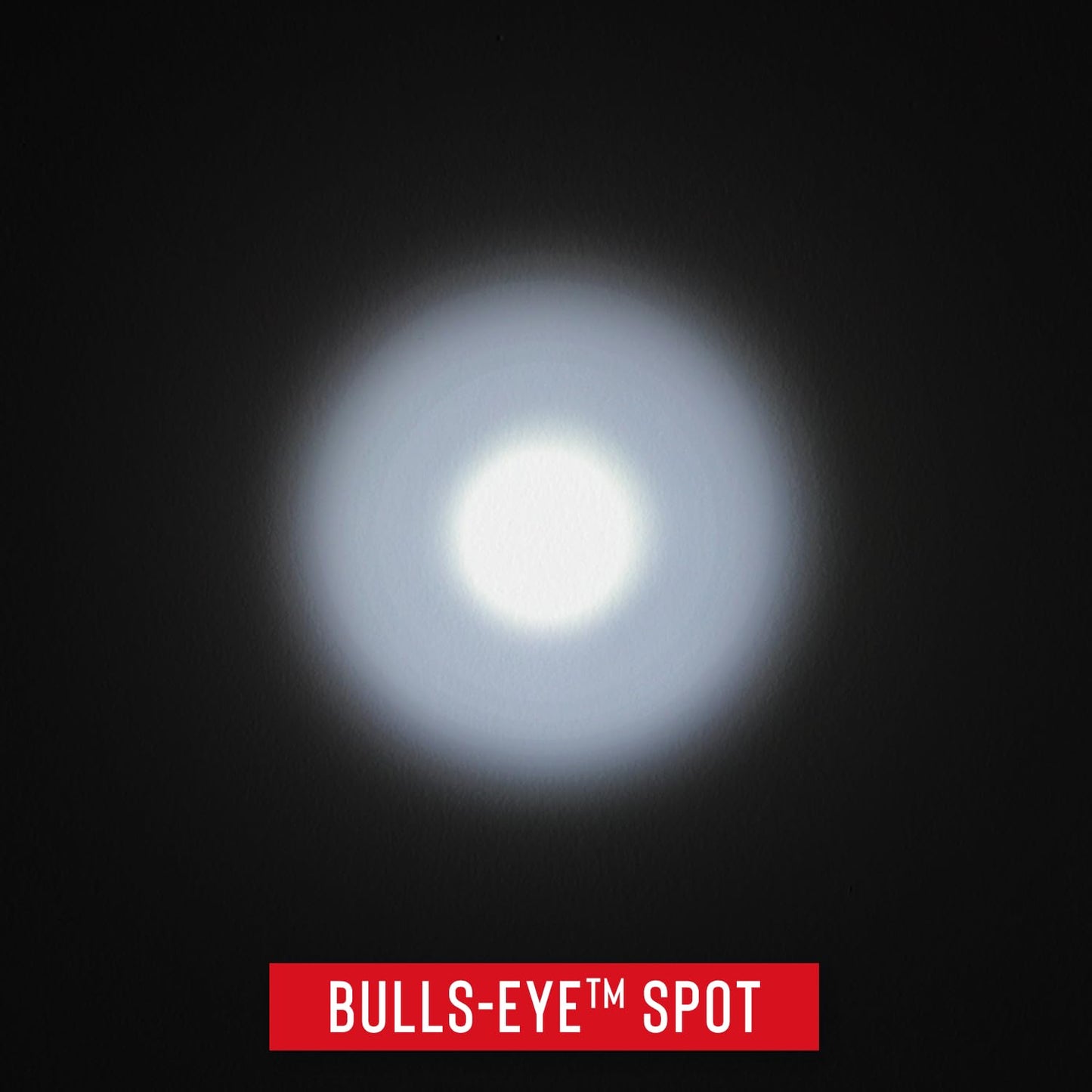 Coast PX20 315 Lumen Dual Color Led Flashlight Black