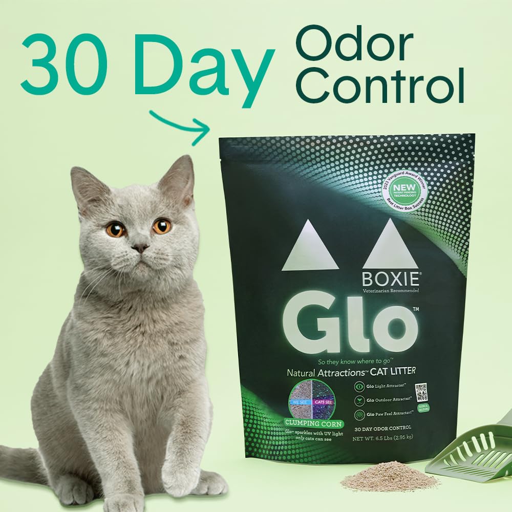 Boxie® Glo™ Natural Attractions 30 Day Odor Control Clumping Corn Cat & Kitty Litter, 6.5 lb, 99.9% Dust-Free, Plant-Based, Lightweight, Strong Clumping, UV Light Attractant for Litter Box Use