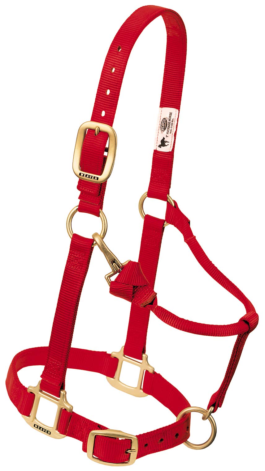 Weaver Leather Nylon Adjustable Draft Horse Halter, Red, Large