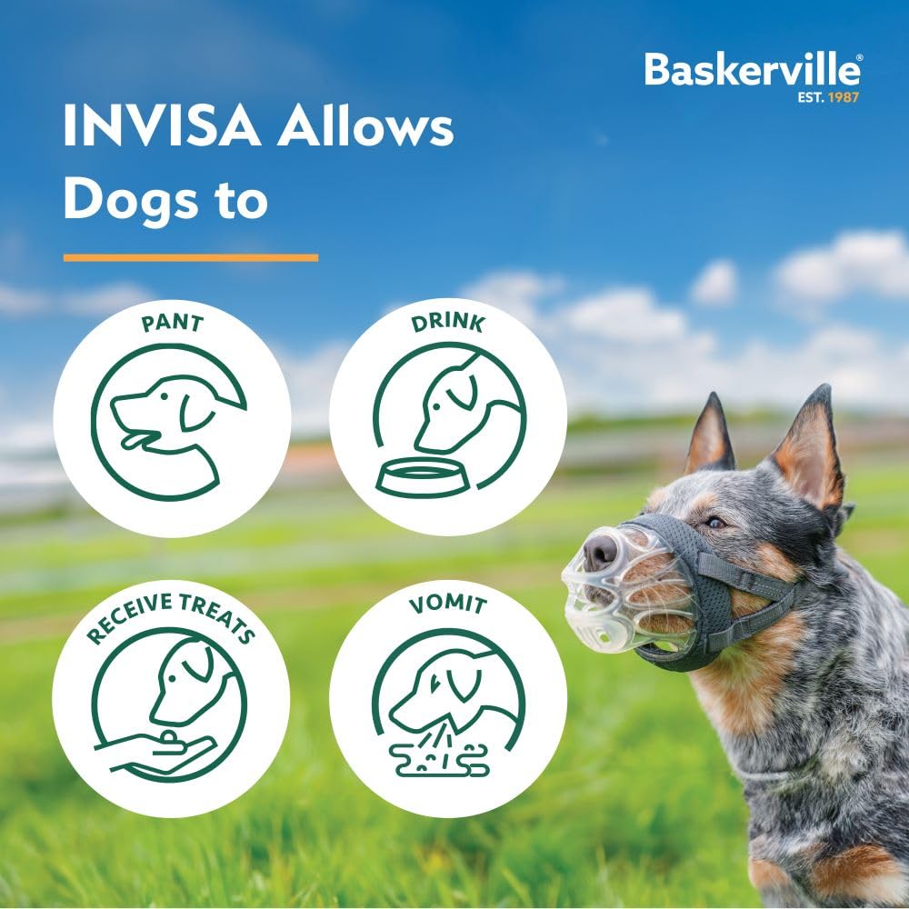 Baskerville INVISA Basket Dog Muzzle - Patented Humane Design with Facial Visibility, Padded Nose Band, Dog can Pant and Drink, Prevents Biting and Scavenging. Muzzle for Medium-Sized Dogs (Size 4)