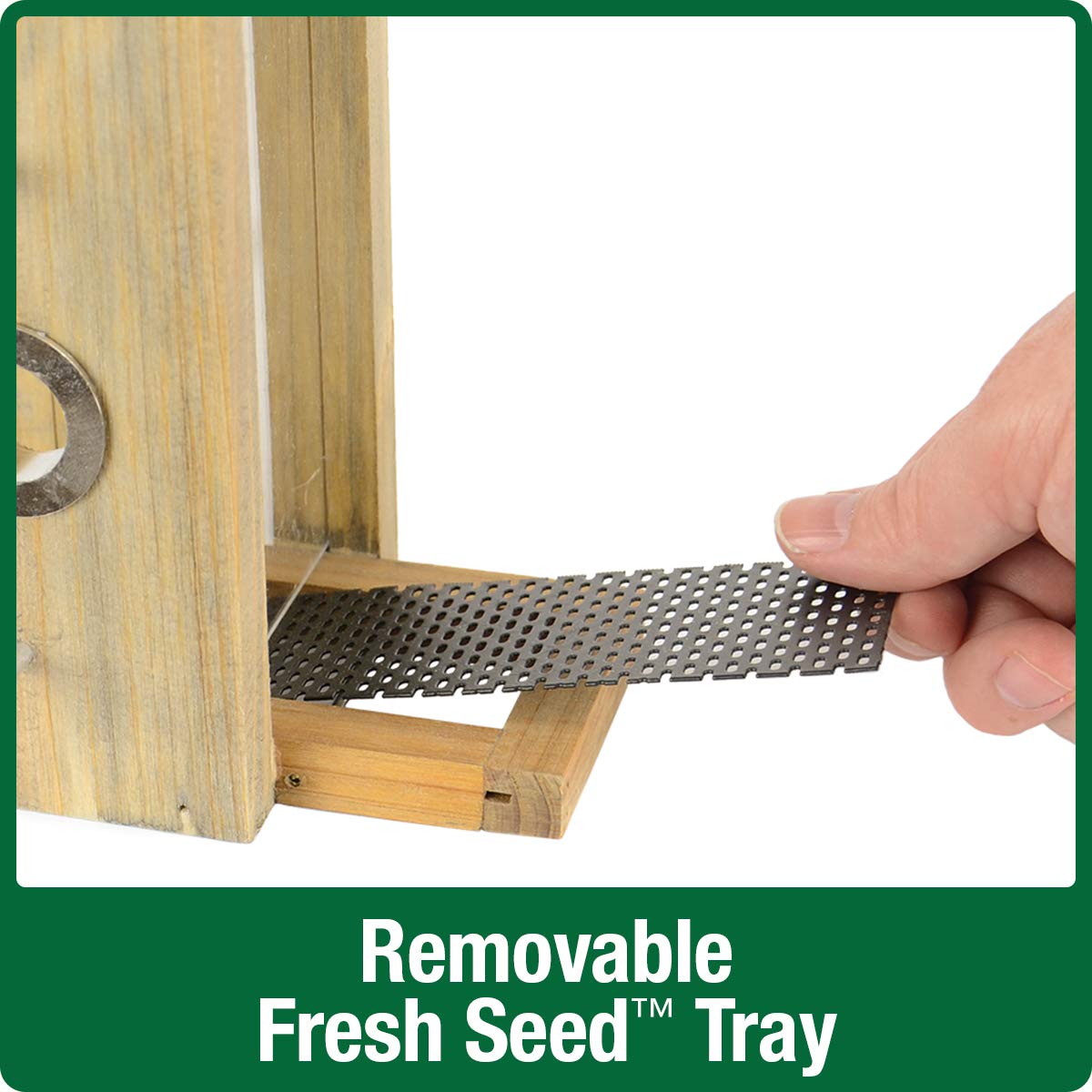 Wild Wings WWGF1-DECO Galvanized Weathered Vertical Cedar Bird Hopper Feeder