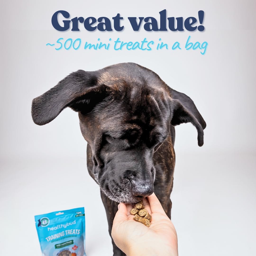 Healthybud Beef Mini Training Treats for Dogs Low-Calorie Soft Liver Treats for Puppies & Small Dogs with Reishi Lion’s Mane Pumpkin Salmon Oil Grain-Free and Made in Canada 6.5oz 3Pack Made in Canada