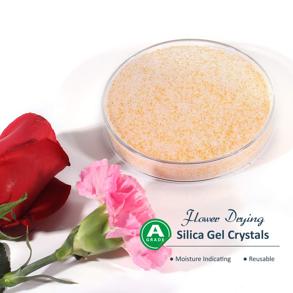 wisedry 10 LBS Silica Gel Flower Drying Crystals, 2 Packs of 5 LBS, Color Indicating, Reusable