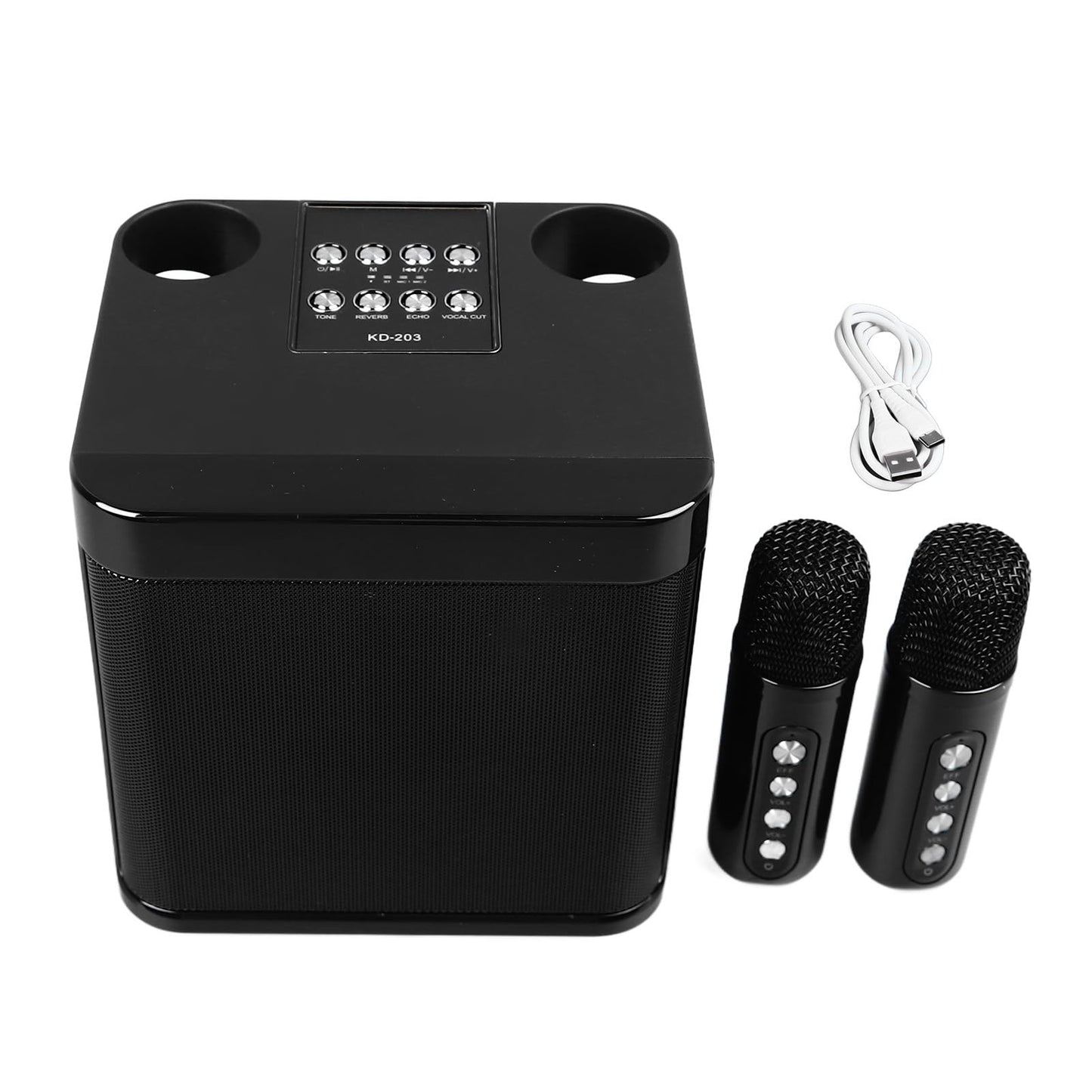Generic Portable Karaoke Machine with Two Cordless Microphones, Mini Karaoke Machines for Adults & Kids, Supports for TF Card/USB and AUX in, for Smartphones Tablets
