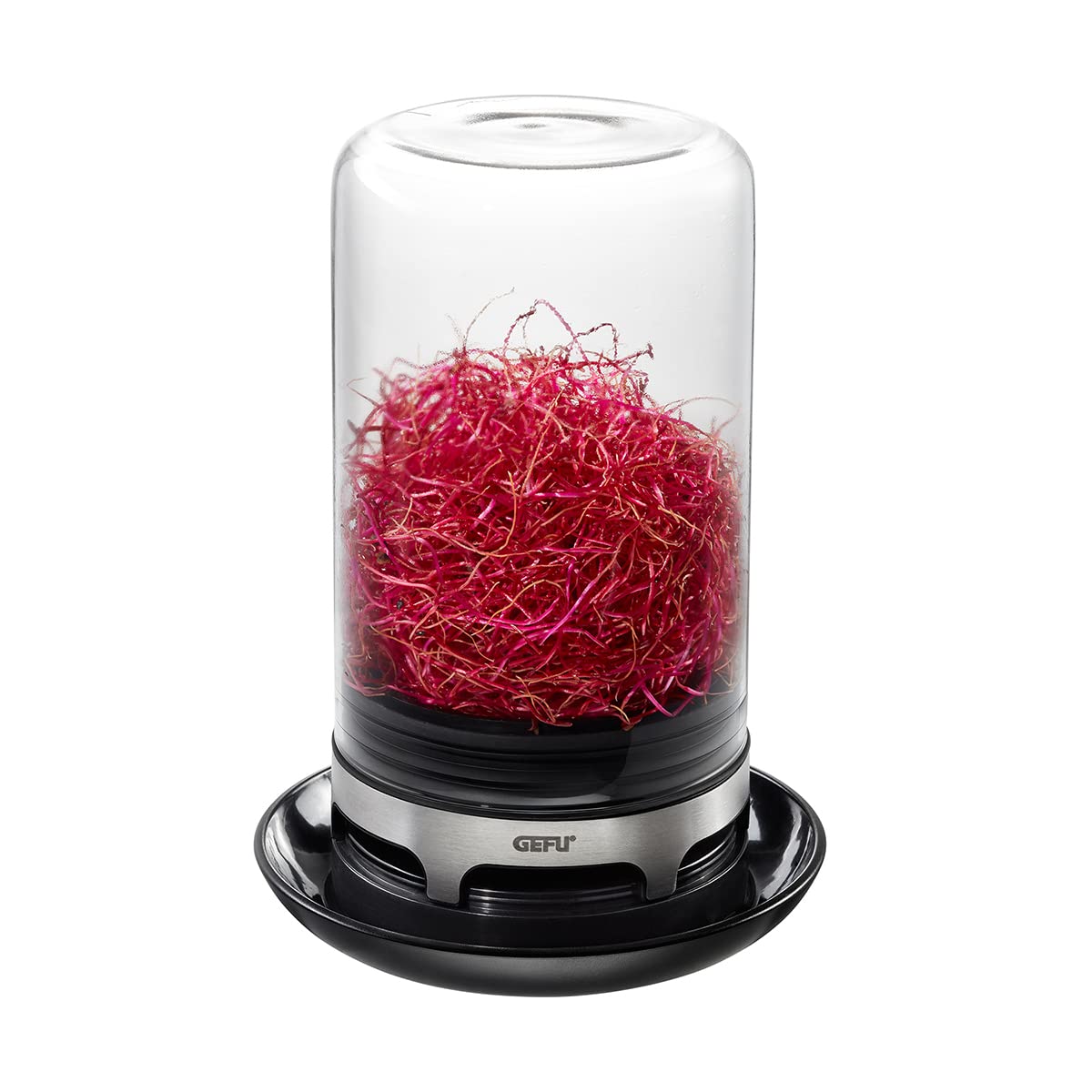 Sprouting JAR (Black)