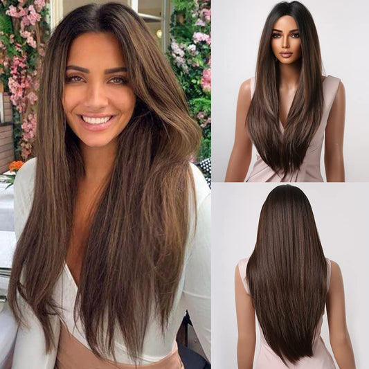 Brown Wigs for Women Long Straight Layered Natural Hair Wig with Dark Brown Roots Middle Part Synthetic Wig