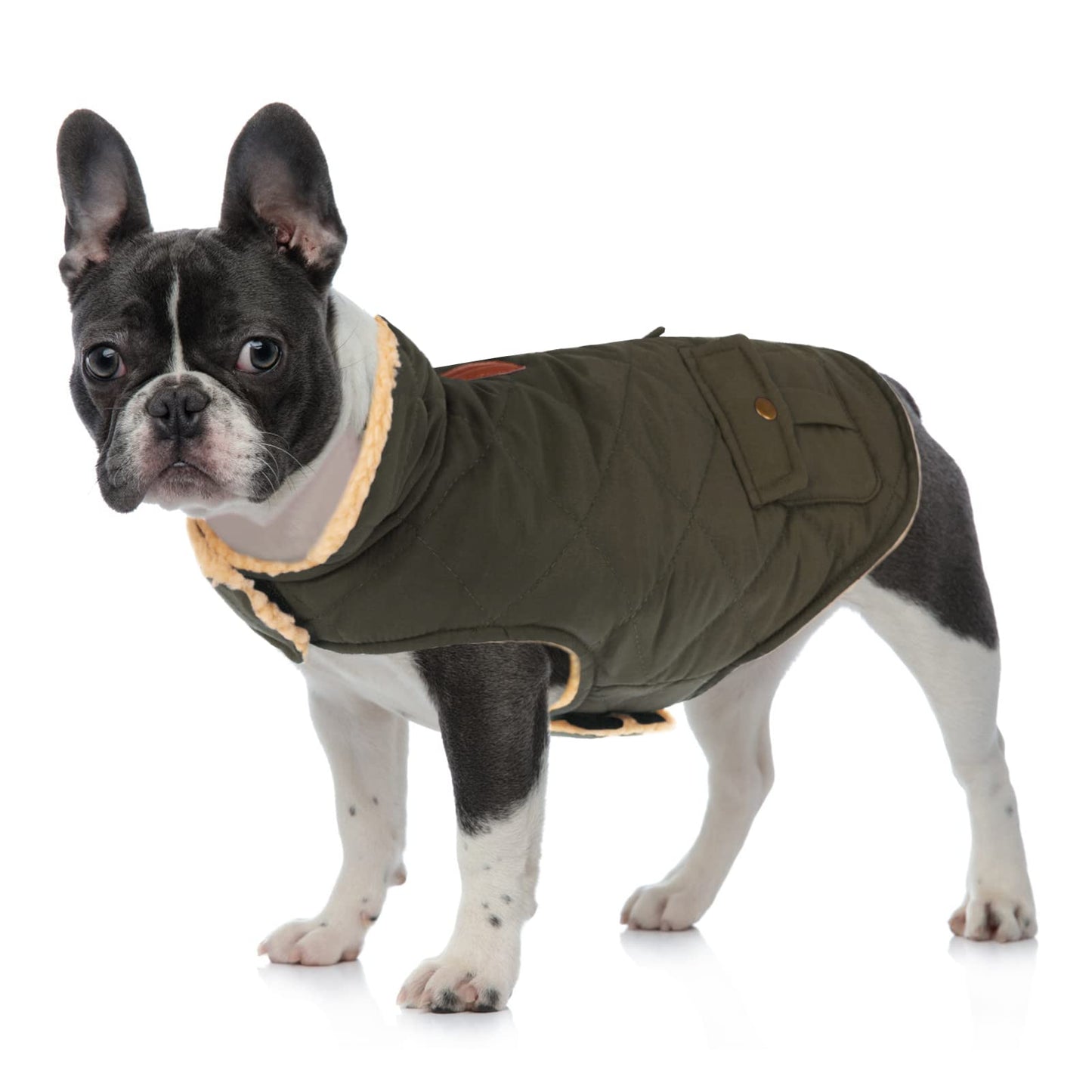 Queenmore Warm Dog Coat, Cold Weather Puffer Dog Jacket with Ultra Thick Plush Lining, Storage Pockets (Green, Large)