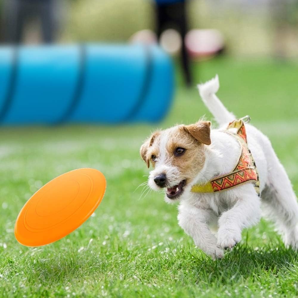 NBYTLT 16.2 FT Premium Dog Agility Tunnel with Bags, Outdoor Training Tunnel with 24" Wide Opening, Portable Dog Agility Equipment, Perfect for Most Sized Dogs, Blue