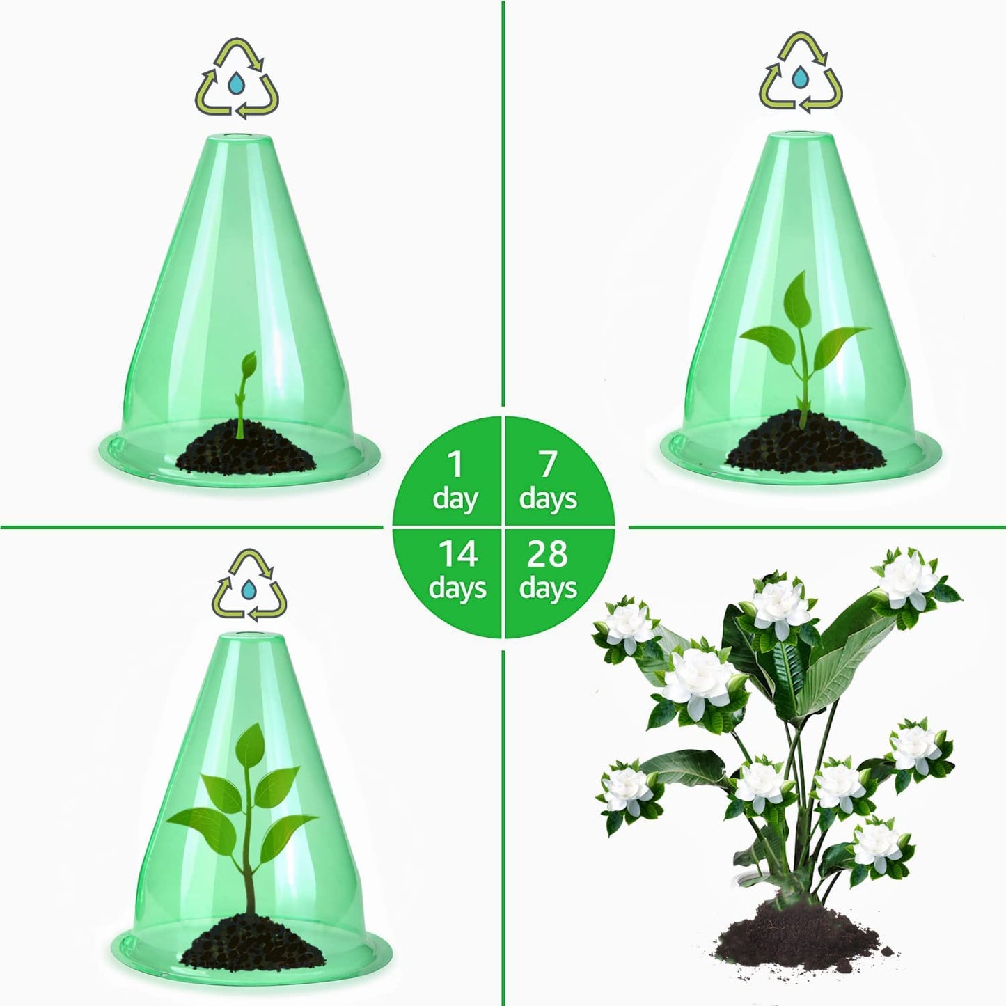 【36 Pieces】 Garden Cloches for Plants, Multifunctional Plant Cover Plant Protectors Transparent Bell Jar Cloche Protection Plants from Birds, Animals, Frost, Freeze Weather,7.8" D x 9.4" H, Green