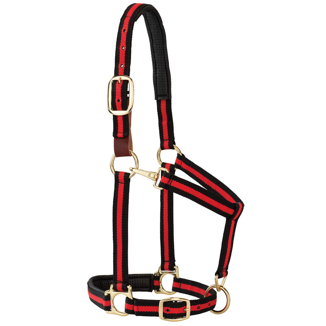 Weaver Equine Breakaway Horse Halter, Comfort Foam Padding, Adjustable Chin & Throat Snap Halters for Horses, Equine Tack,Average Size, Red