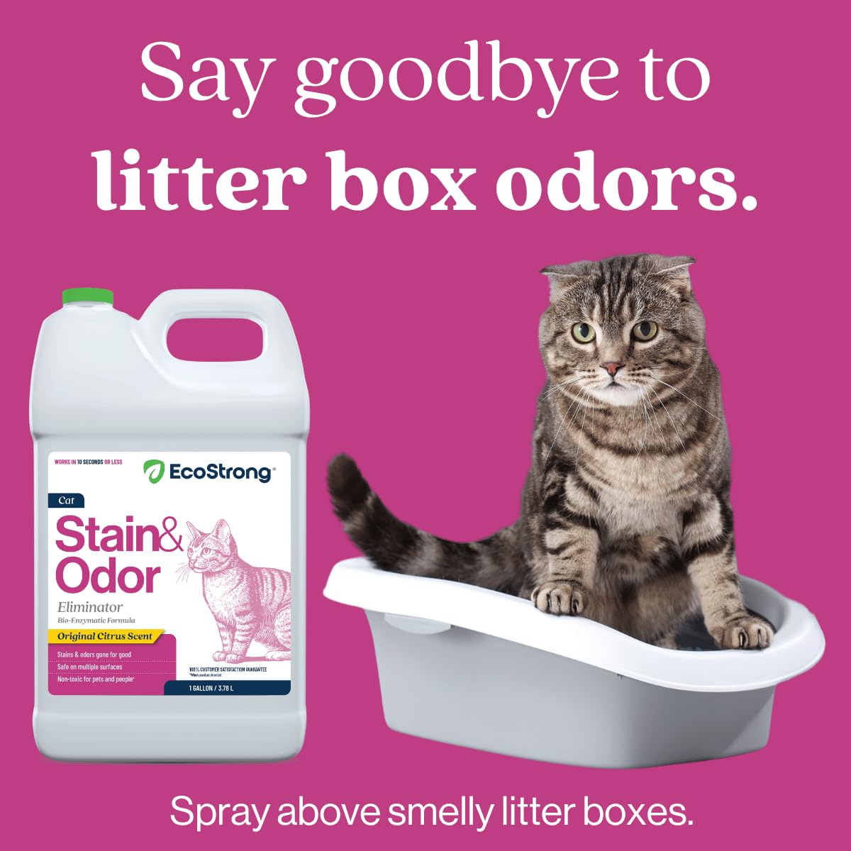 Cat Stain And Odor Remover | Enzyme Urine Odor Neutralizer - Stain Remover for Carpet, Litter Boxes, Bedding, and Laundry [Citrus Scent, 128 Oz]