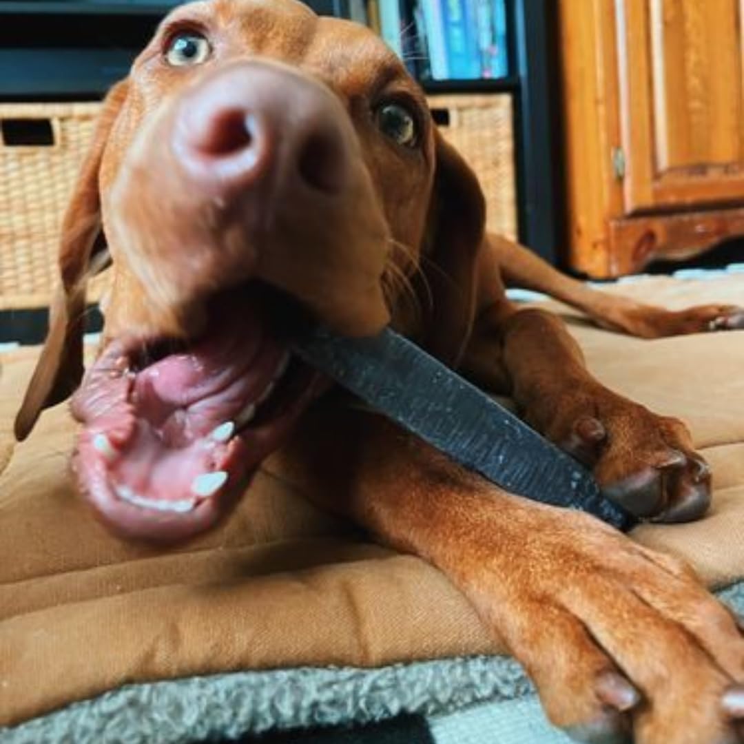 Bully Bunches Premium Flavored Himalayan Yak Chew for Dogs, 100g, All-Natural, Long-Lasting, Authentic Yak Milk, Healthy Dental Chew (Strawberry, Blueberry, Mint & Cheese Yak Chews, Medium, 4 Pack)