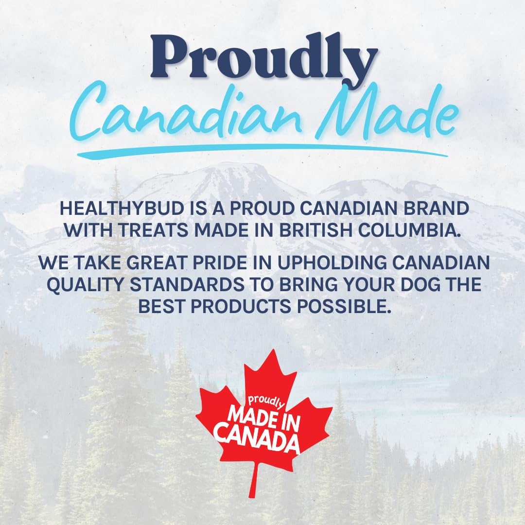 Healthybud Beef Mini Training Treats for Dogs Low-Calorie Soft Liver Treats for Puppies & Small Dogs with Reishi Lion’s Mane Pumpkin Salmon Oil Grain-Free and Made in Canada 6.5oz 3Pack Made in Canada