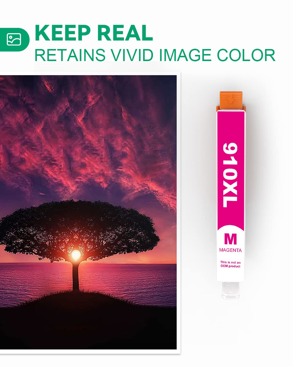 910XL Ink Cartridges Combo Pack [ Latest CHIP ] 8022 Ink Compatible Replacement for HP 910XL 910 XL Use with HP Officejet Pro 8010 Ink, Pro 8020 8025 8030 Printer (Black and Color, 4 Pack)