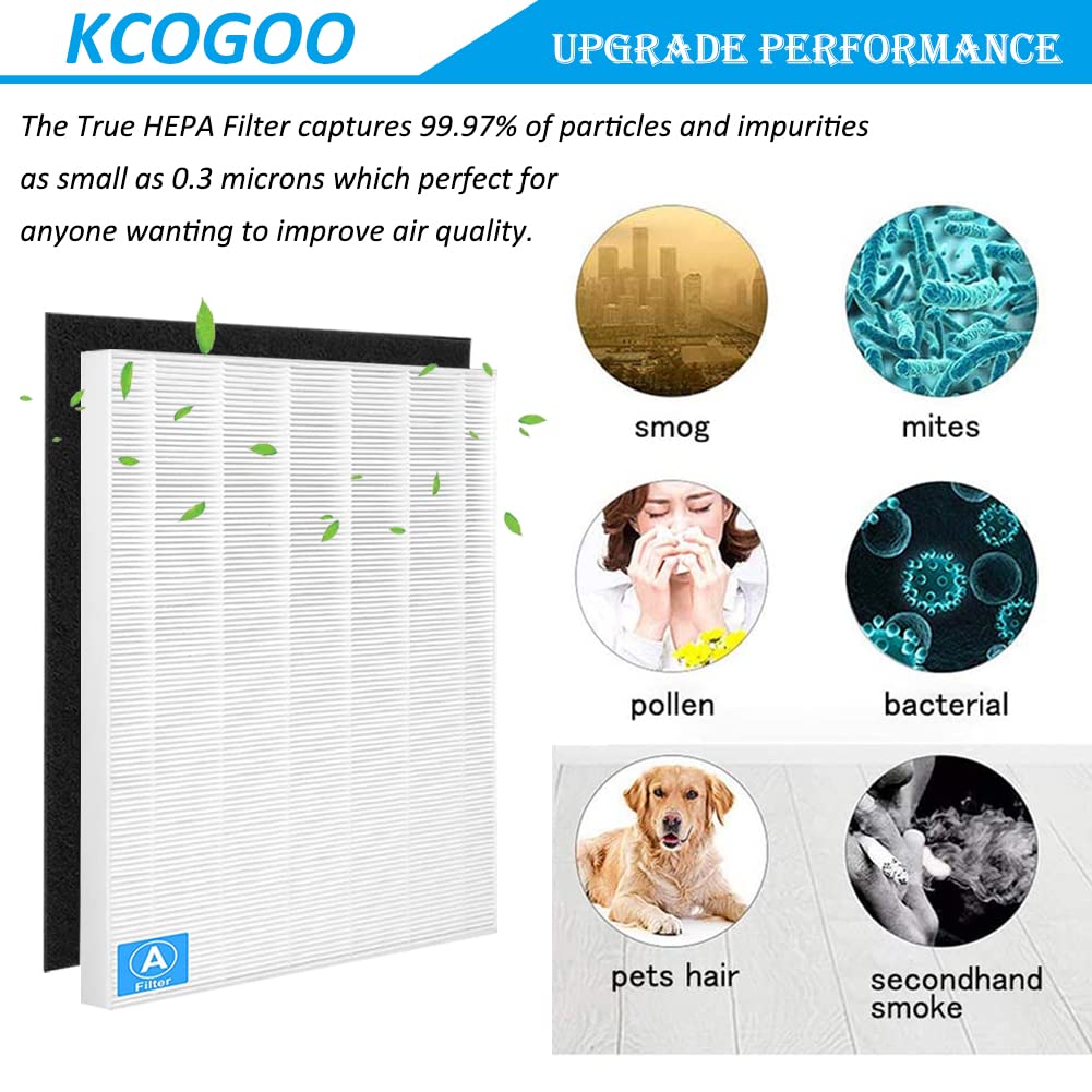 115115 size 21 HEPA Replacement Filter A Compatible with Winix C535, PlasmaWave 5300, 6300, 5300-2, 6300-2, P300, AM90 Air Purifier, 3 True HEPA Filters + 6 Carbon Pre-filters