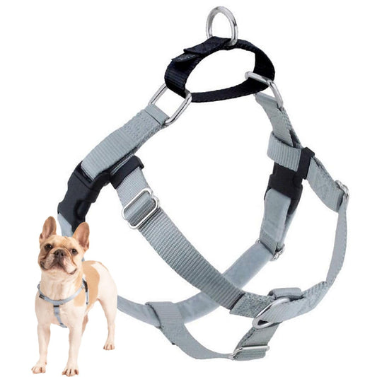 2 Hounds Design Freedom No Pull Dog Harness | Adjustable Gentle Comfortable Control for Easy Dog Walking | for Small Medium and Large Dogs | Made in USA | Leash Not Included | 1" LG Silver