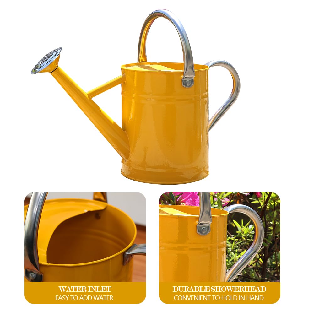 yourjoy Metal Watering Can, One Gallon Watering Cans Stainless Steel for Outdoor Indoor Garden Plants Watering
