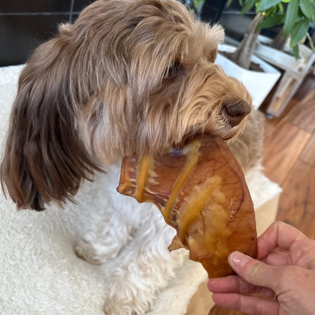 Bully Bunches Large Whole Pig Ears for Dogs | Free Range Oven Baked Pork for All Breeds | All-Natural, Single Ingredient & 100% Digestible Safe Dog Chew (20 Pack)