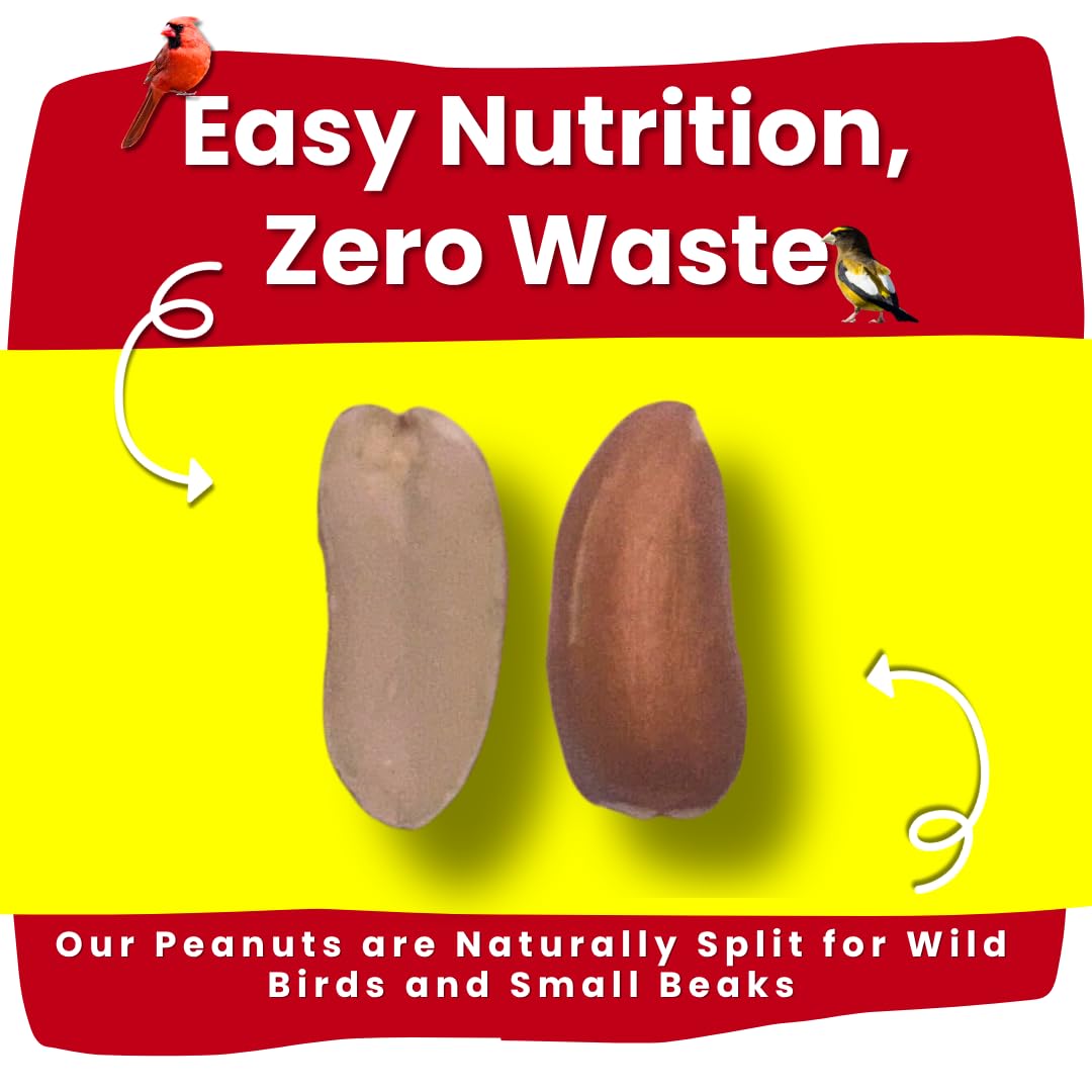 Chirp & Maple, Peanuts for Wild Birds, No Shell, Wild Bird Food, 4.5KG (10LB) Bag