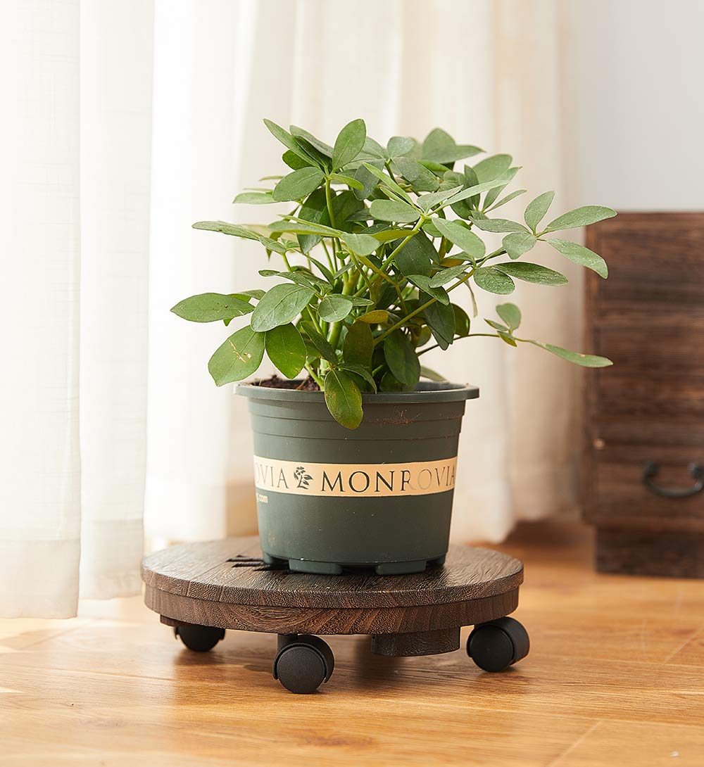 SINOBEST Wood Plant Caddy, Heavy Duty Rolling Planter Dolly With Rotating Casters, Movable Flower Pot Stand, Round Plant Rack With Lockable Wheels,Heavy Objects Hauling (13 Inch)