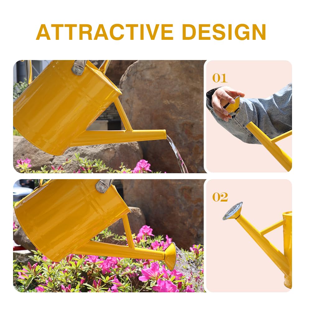 yourjoy Metal Watering Can, One Gallon Watering Cans Stainless Steel for Outdoor Indoor Garden Plants Watering
