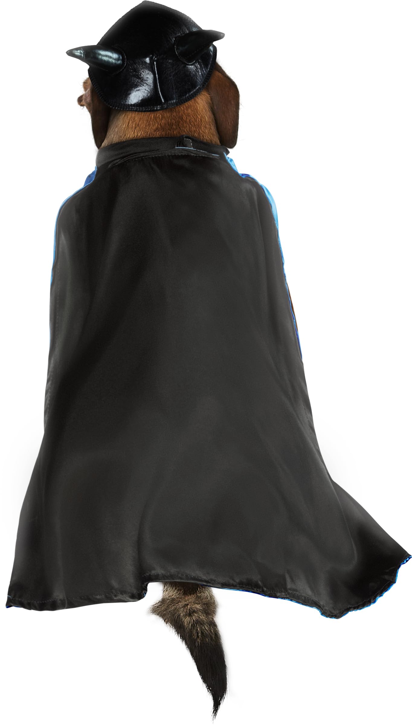 DC Comics Pet Costume, X-Large, Batman