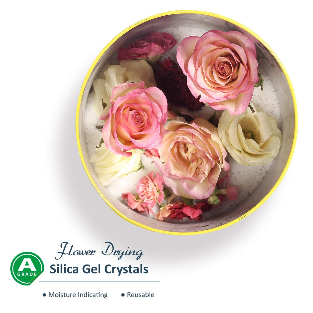 wisedry 10 LBS Silica Gel Flower Drying Crystals, 2 Packs of 5 LBS, Color Indicating, Reusable