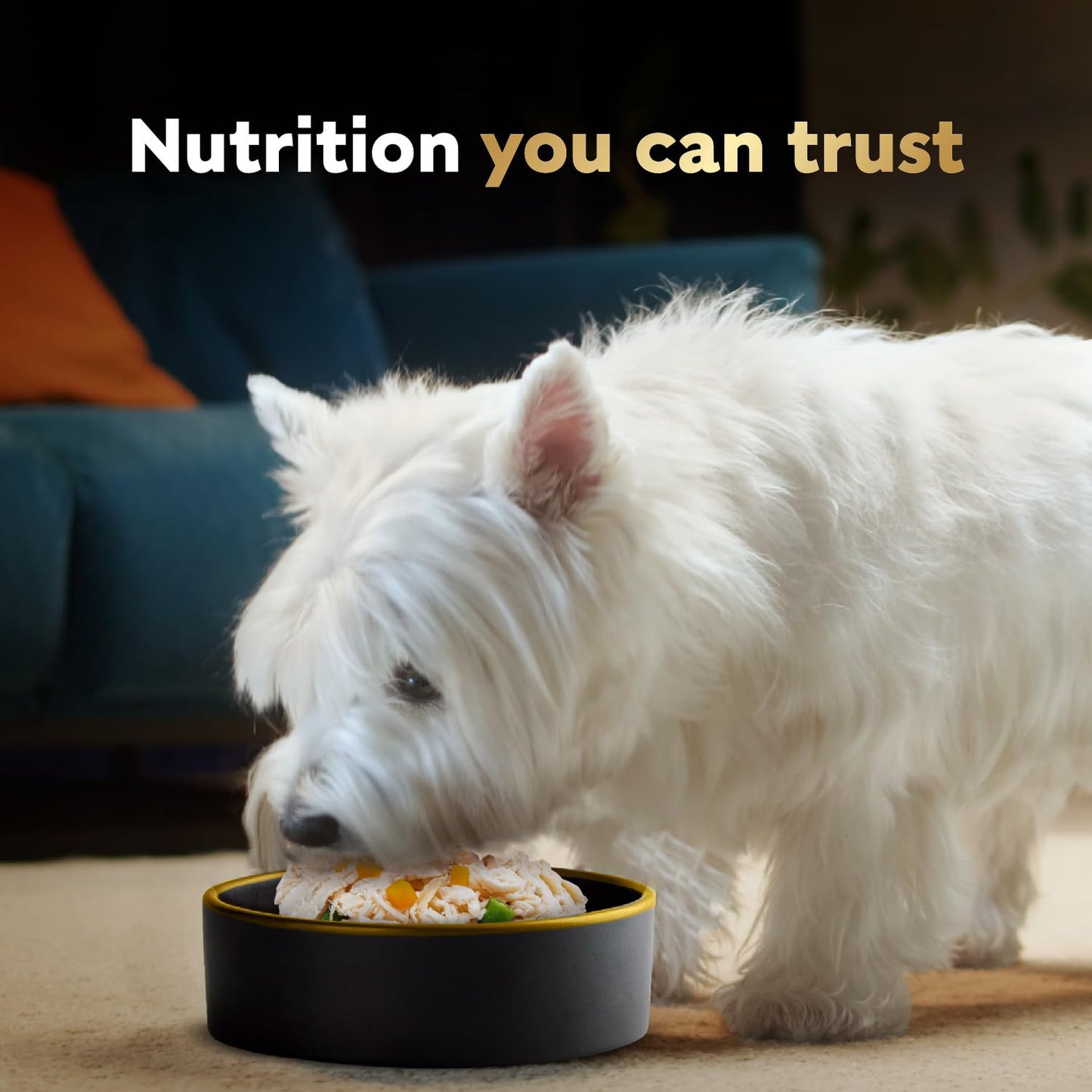 Cesar Wholesome Bowls Adult Wet Dog Food Chicken, 85g Pack of 10