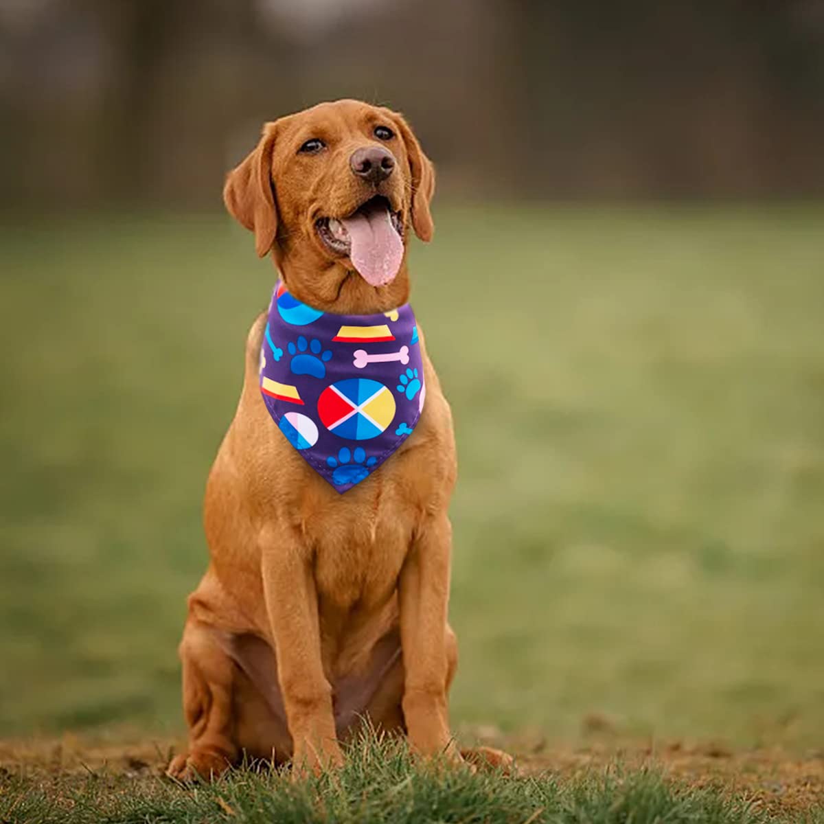 JpGdn 50PCS Big Dog Bandanas Large Breed XL Bulk Paw Bone Print Pet Big Bandanas Kerchief Washable Triangle Bibs Head Scarves Scarfs for Boys and Girls Grooming Costume