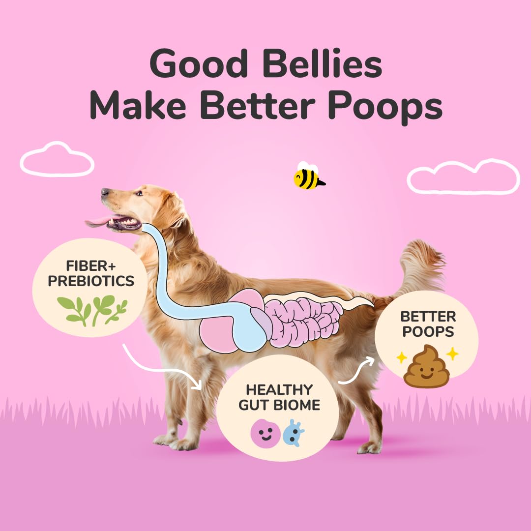 kin+kind Organic Fiber for Dogs&Cats - Pumpkin Boost for Healthy Poops - Digestive Health - Flax Seed, Ginger, Turmeric and Coconut - Made in USA - Bundle (3 x 226.8 g)