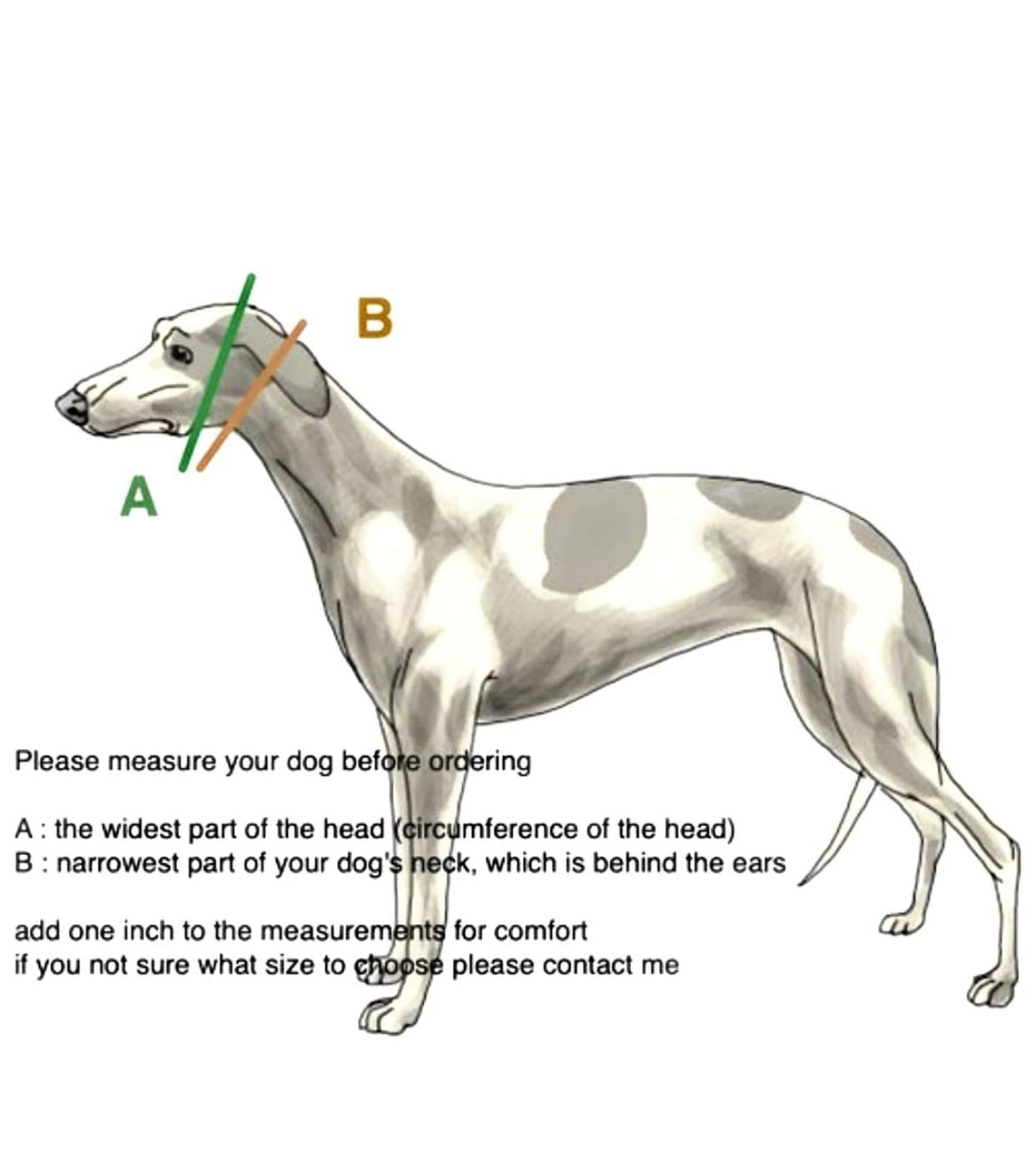 Martingale Dog Collar for Greyhound Saluki Whippet and Other Breeds with Similar Neck 2" Wide (14"-18")