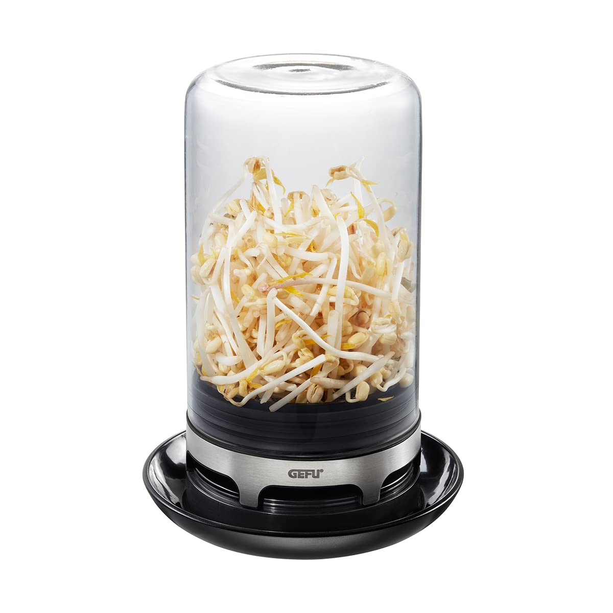 Sprouting JAR (Black)