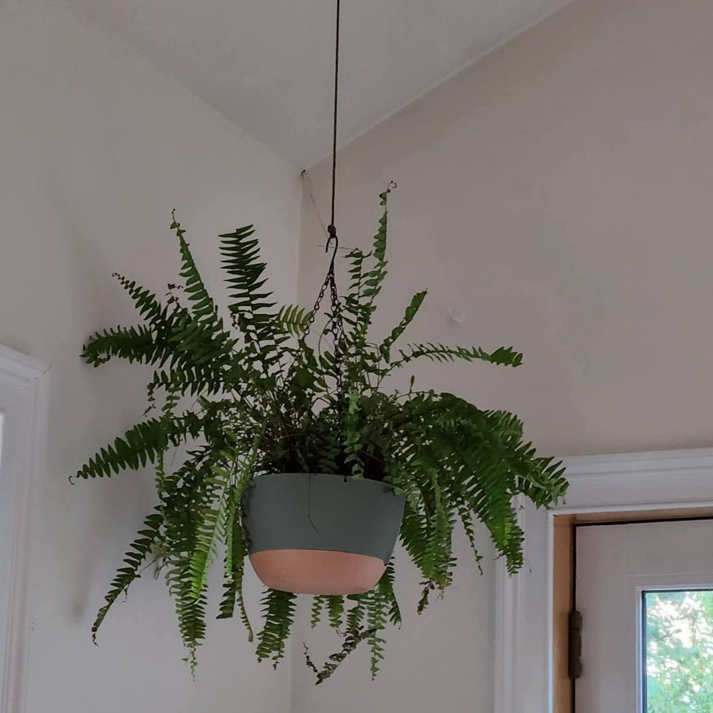 2 Pack Hanging Planters for Indoor Plants, Self-Watering Hanging Planter Holder with Pot, Drainage Holes, Removable Saucer for Garden Home (Black, 10 Inches)