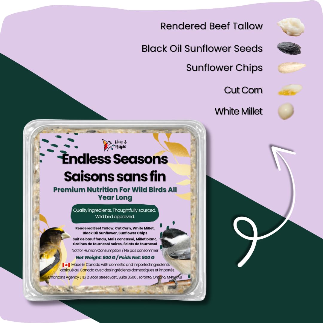 Chirp & Maple, Endless Seasons, Suet for Wild Birds, Wild Bird Food (18-Pack) 5.4KG