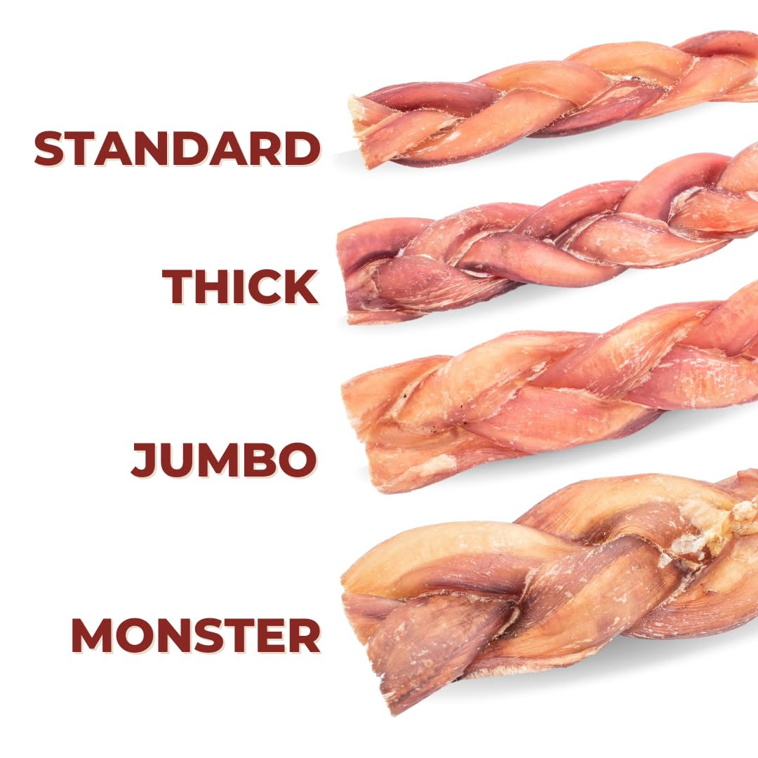 Bully Bunches All Natural Braided 6 Inch Bully Sticks – Odour Free, Rawhide Free, Chemical Free – Safe, Long Lasting Thick Beef Dog Chew Gnaws – Fully Digestible Treat for Small and Medium Dogs, 10 Pk