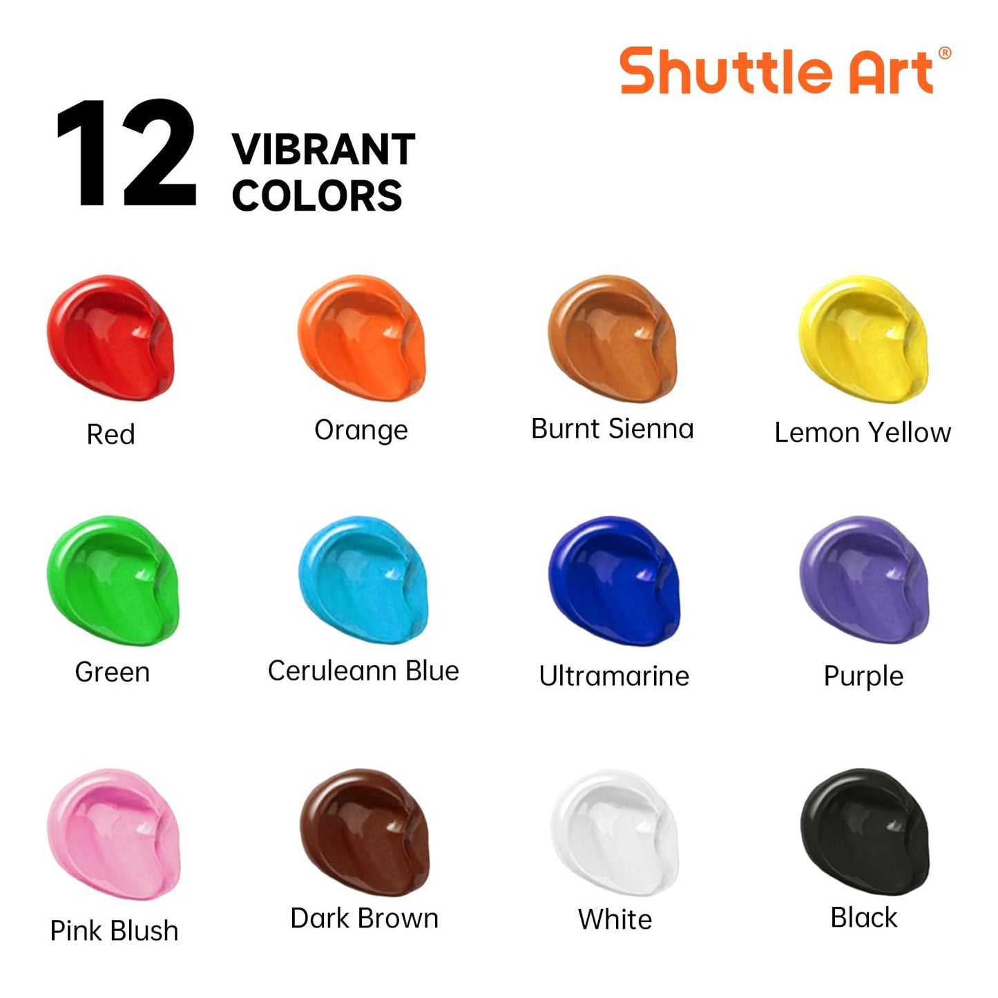 Shuttle Art Outdoor Acrylic Paint Set, 12 Colors Waterproof Paint, 8.45oz/250ml Large Bottles, Rich Pigmented Bulk Painting Supplies for Artists, Beginners on Rocks, Wood, Wall and Garden Statues