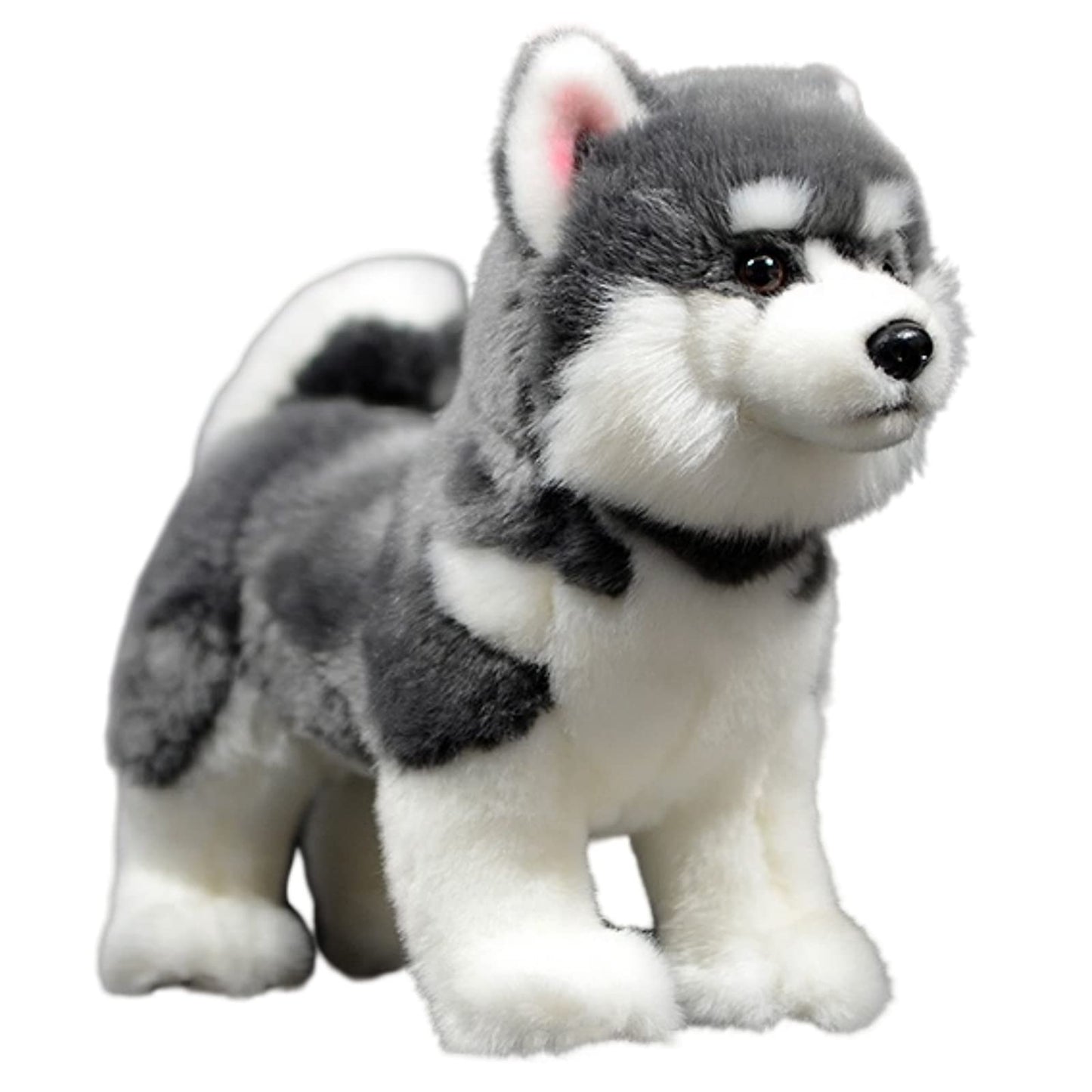FRANKIEZHOU Lifelike Husky Stuffed Animal, Gray, 11" Alaskan Malamute Plush Toy, Realistic Dog Stuffed Animal, Soft and Durable, Anxiety Relief, Gift for Kids, Home Decor, Hugging Toy
