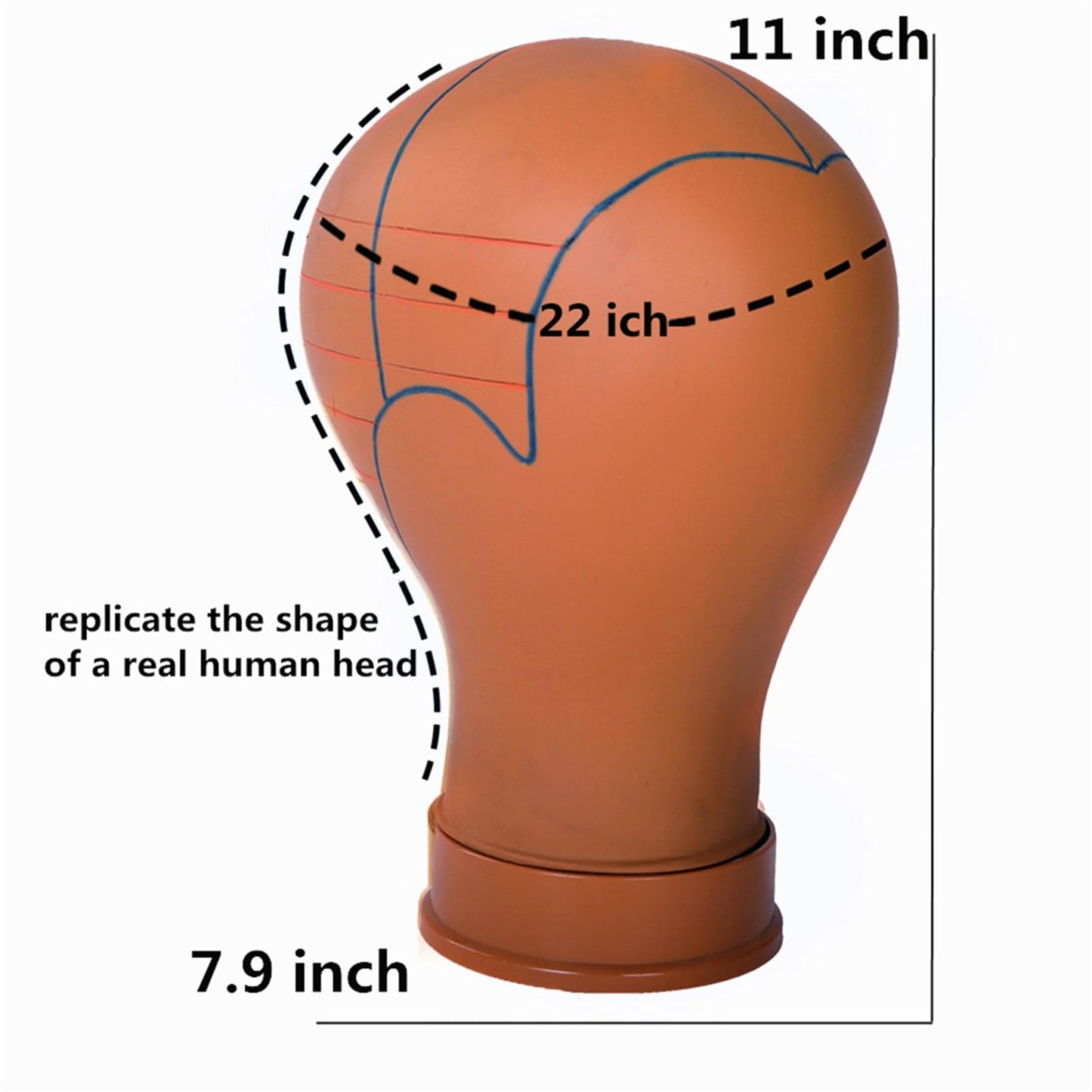 COMMGOAL Mannequin Head for Wigs with Guide Lines, Pre Marked Wig Head for Wig Making and Styling, Compatible with Wig Stand, Stable for 10 Years, Brown