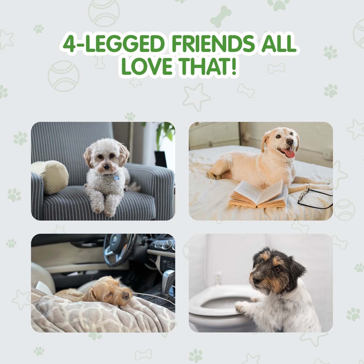 COCOYO Dog Training Pads Large Size丨Eliminating Urine Odor Puppy Pads 丨 Premium Dog Pee Pads Value Pack (75 Count, L 26x30 inch)