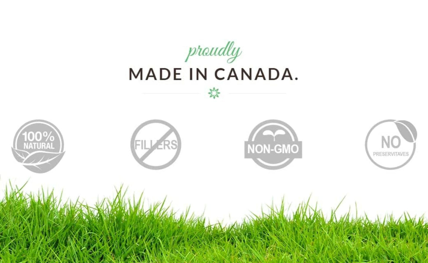 Alora Naturals Alpha GPC 600mg | High-Potency Choline Supplement for Brain Health, Focus & Memory | Acetylcholine Nootropic for Cognitive Support | Vegan, Non-GMO | 60 Capsules (Pack of 2)