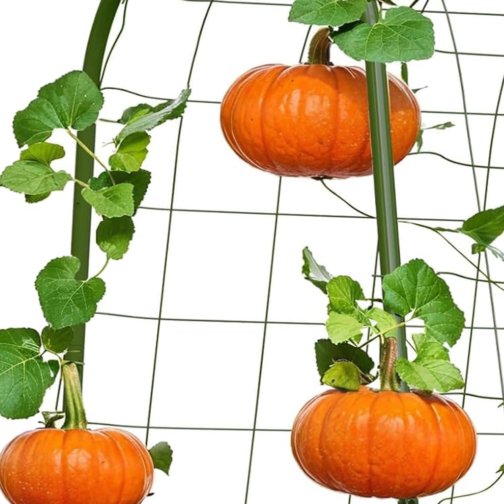 160 * 120cm Garden Trellis Cucumber Plant Trellis for Raised Bed with Netting Gloves Garden Tools for Vegetables for Plant Support Peas Fruit Flower Grape(Green)